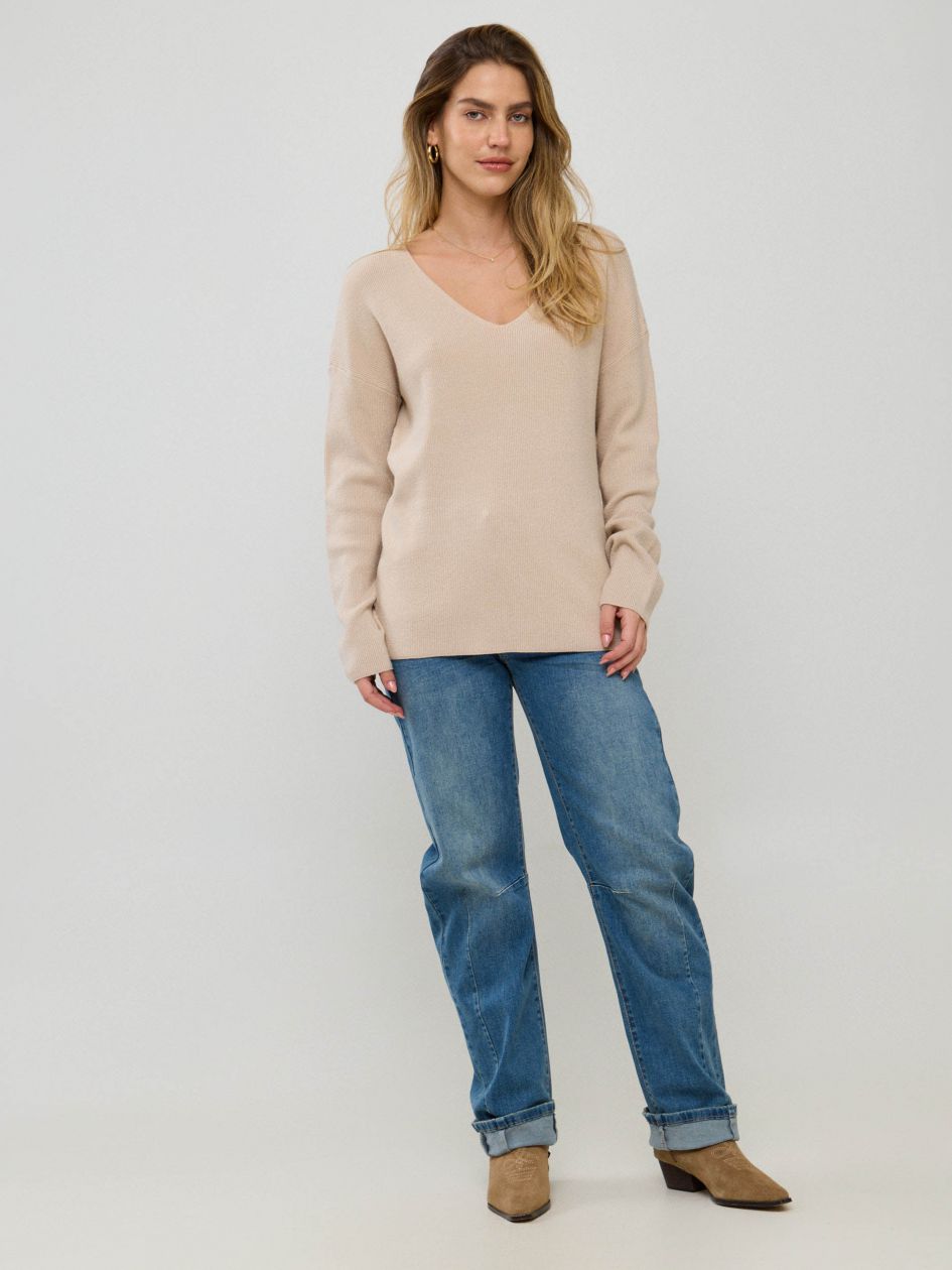 סריג וי ריב  מודל